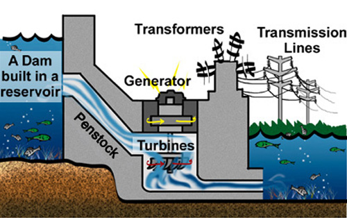 Science Vocabulary: Vocabulary #3 & #4
