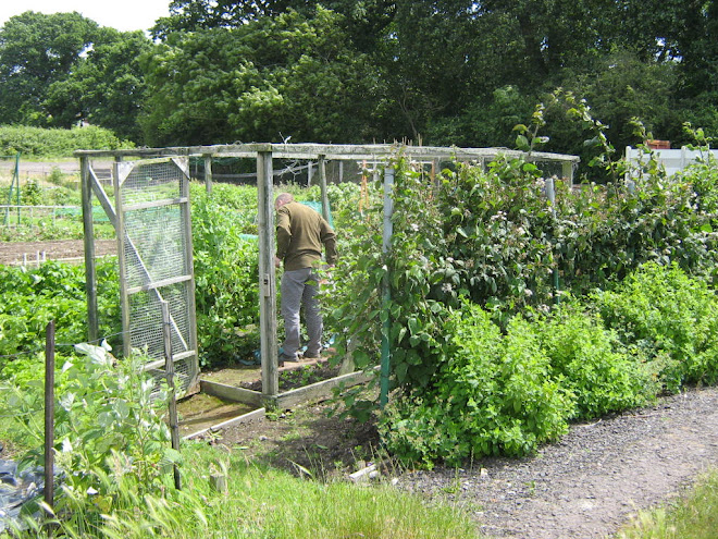 Dave in the fruit cage 2008