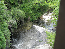 Cascadilla Creek