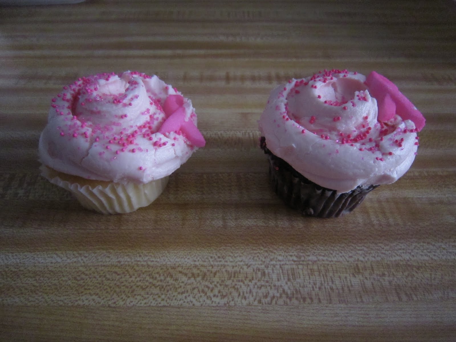 http://1.bp.blogspot.com/_BH4AkUxj8GY/TLHMbe4cm1I/AAAAAAAALbQ/tr7W3ROCmWk/s1600/Magnolia-Bakery-Pink-Ribbon-Cupcake-Vanilla-Chocolate.JPG