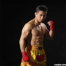 Cung Le