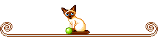 barrinha_gatinho.gif