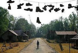 Eras un pez grande en un estanque pequeño,