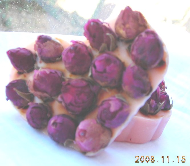 [DSCN0581.JPG]
