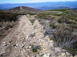 The Camino