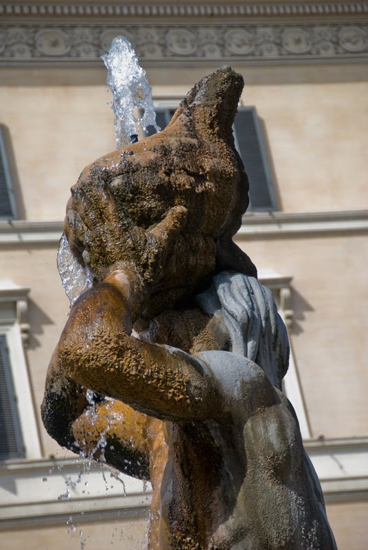 Merisi's Vienna for Beginners Sometimes I Dream In Italian Postcards