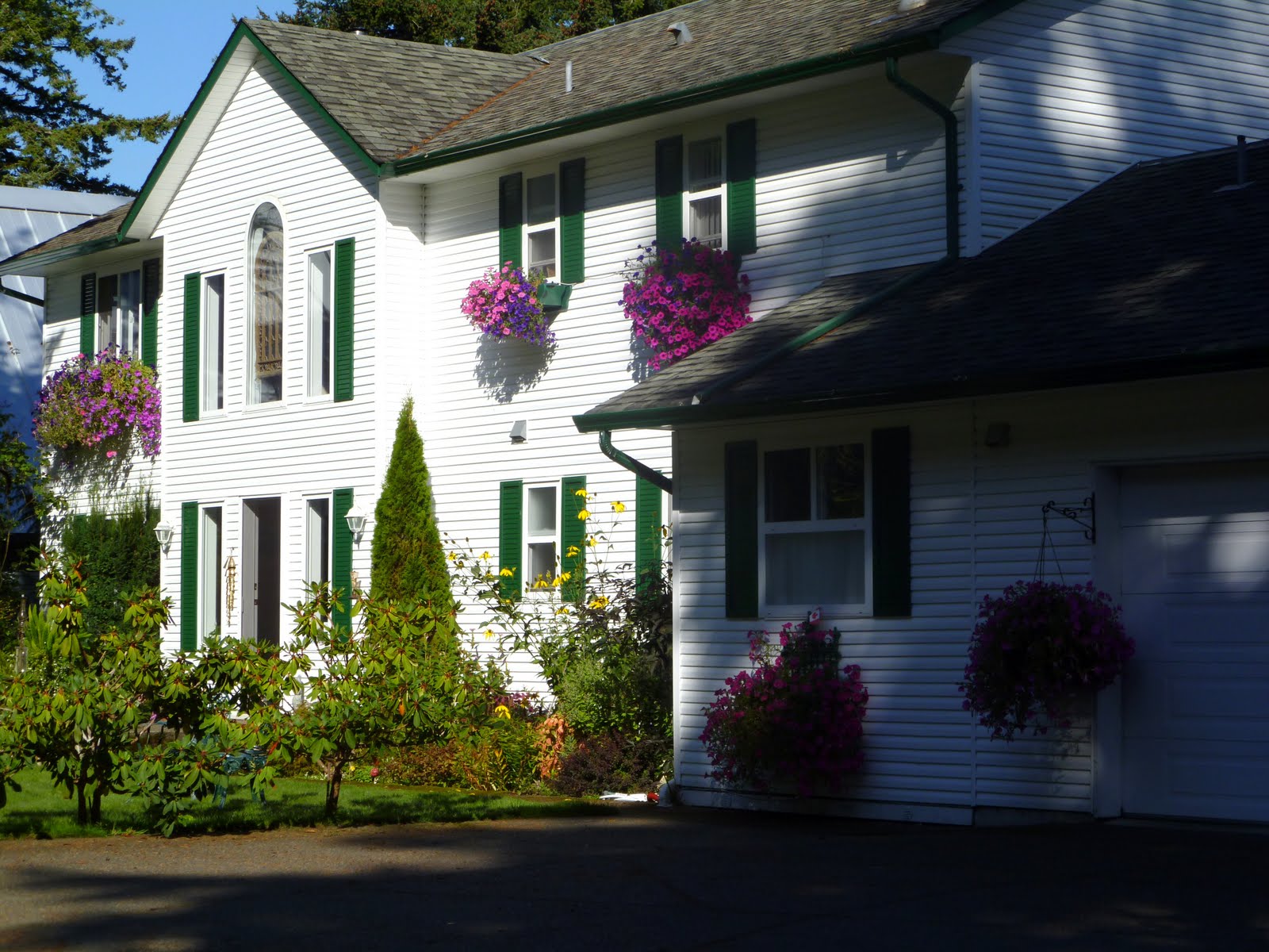 Vancouver Island Travel & Tourism Belle Vue Bed and Breakfast Comox