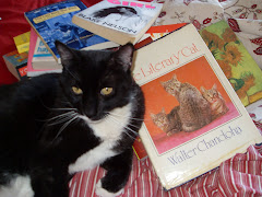 Merlin, the Literary Cat
