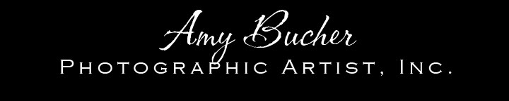 Amy Bucher Photographic Artist, Inc.