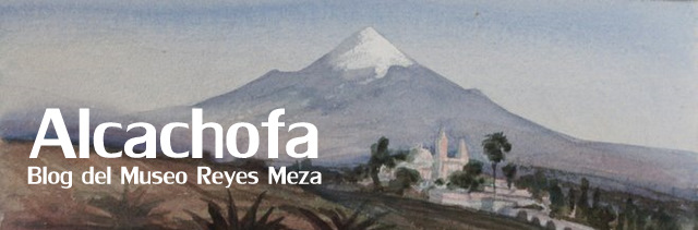 Alcachofa / Blog del Museo Reyes Meza