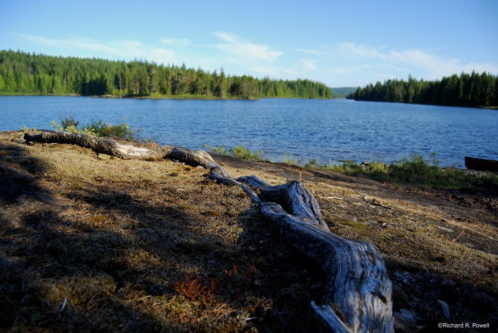100 Lakes on Vancouver Island Lone Tree Island