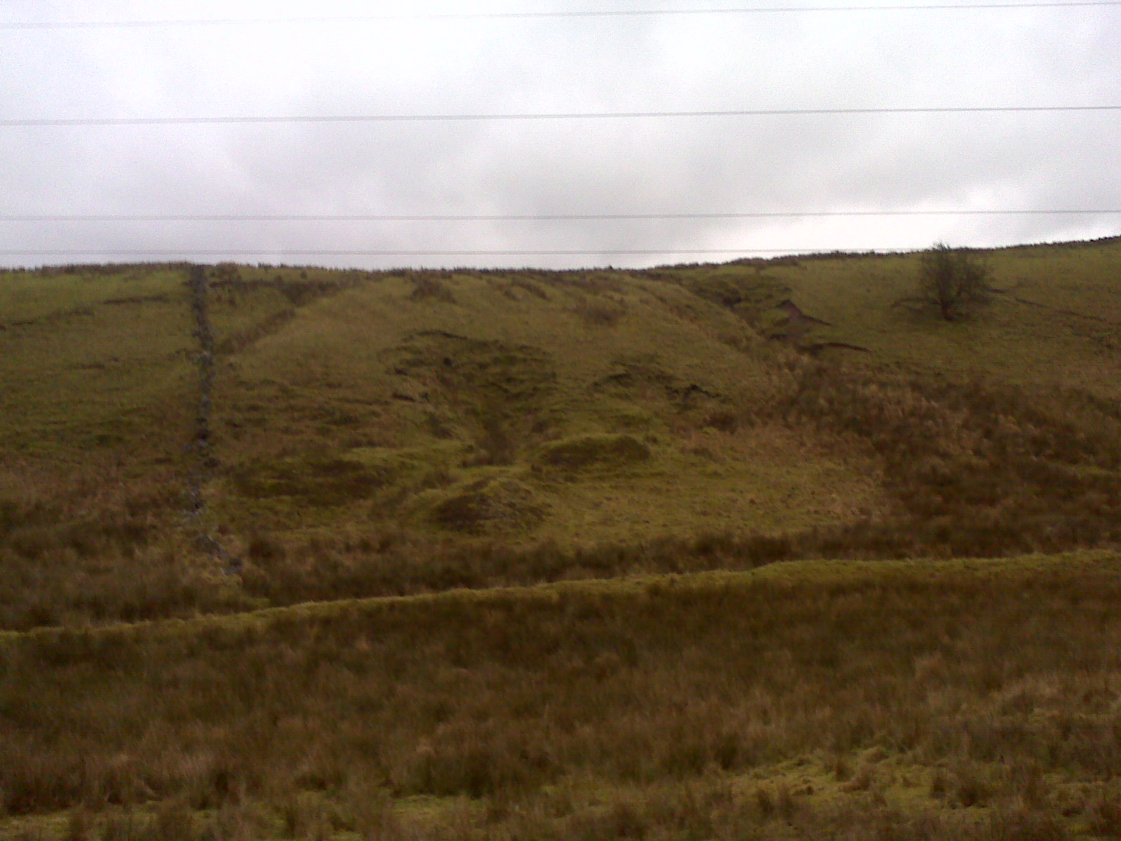 Jake of Winter Hill Adventures Cranberry Moss, Bull Hill, Darwen