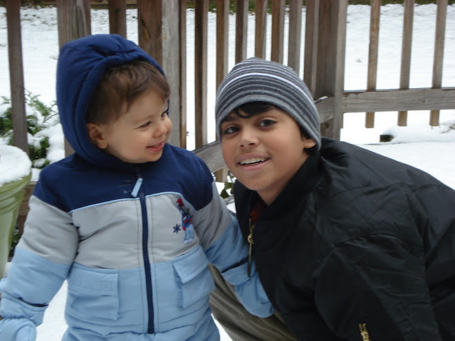 Big brother, little brother