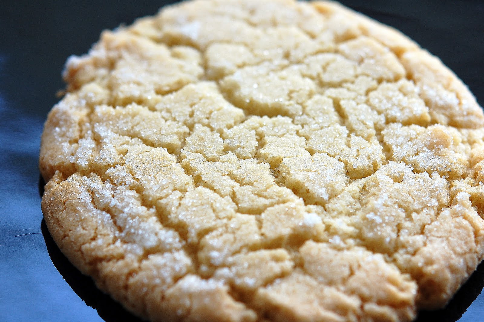 [cookie1.jpg]