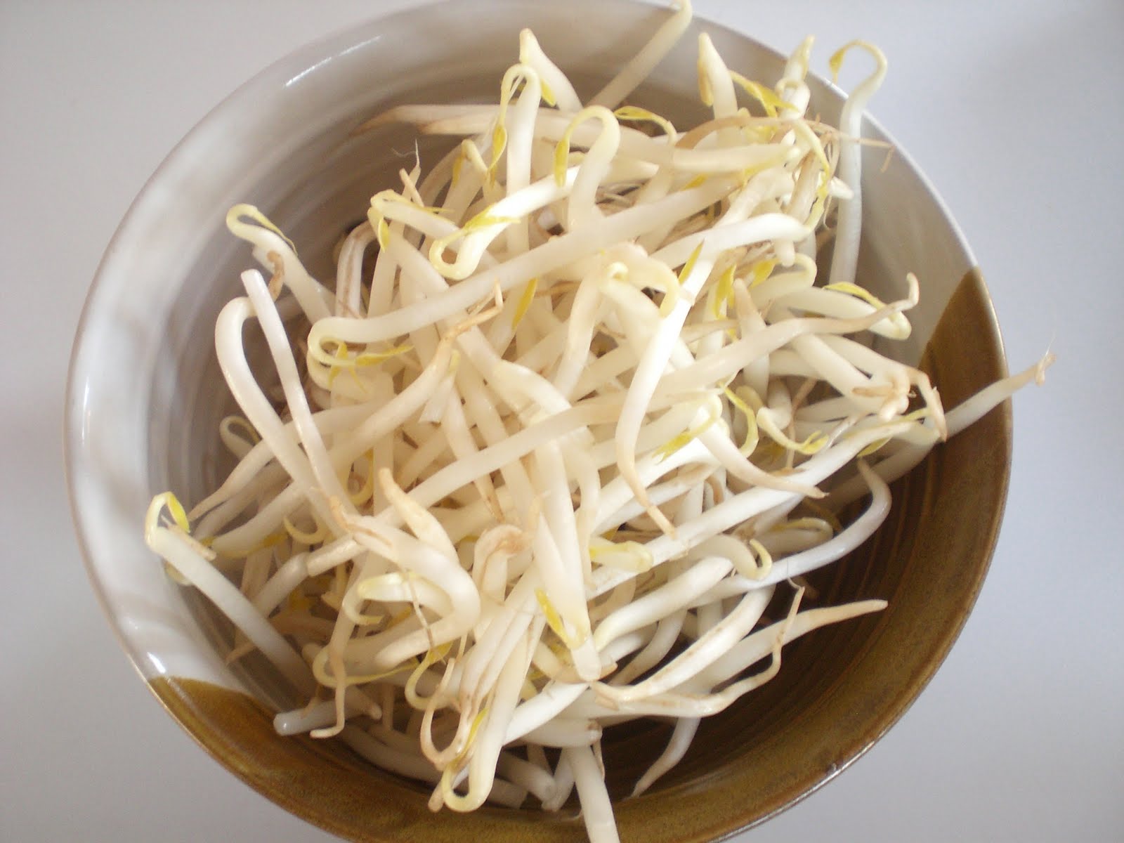 Japanese Recipes and Lifestyle Bean sprout salad & Vietnamese food report1