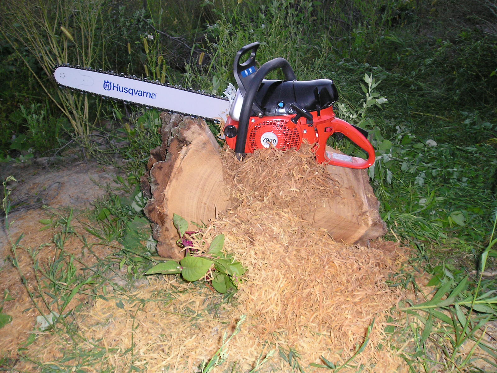 Ohio Woodburner OWB The Dolmar 7900