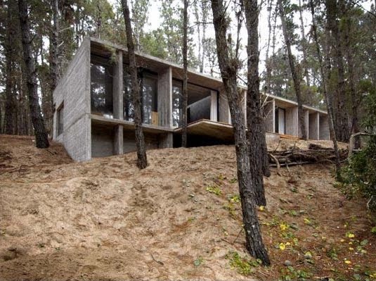 Una casa de hormigón que dialoga con un bosque en Argentina