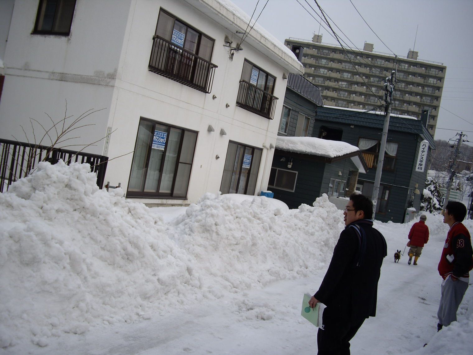 [IMGP0980.JPG]
