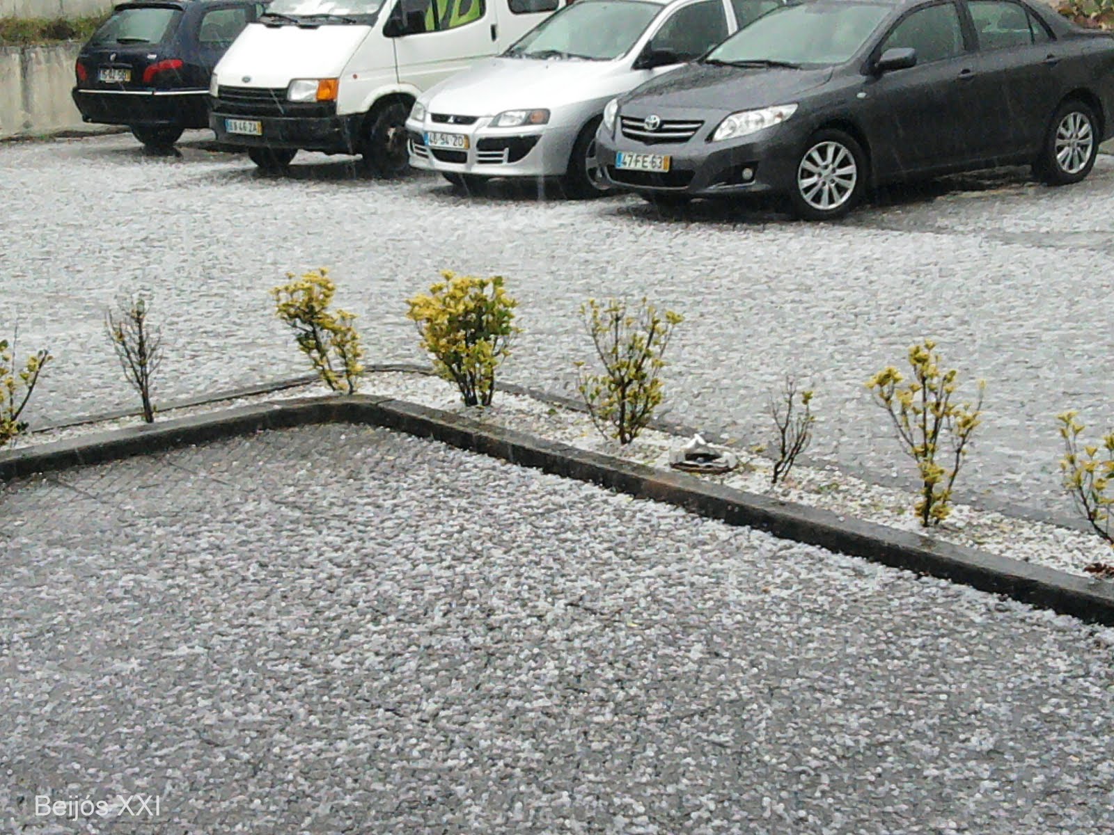 [Foto0065.jpg]