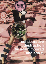 collaborative destruction (w/ana c.)