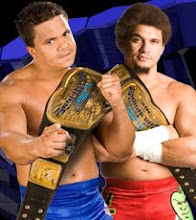wwe tag team champions