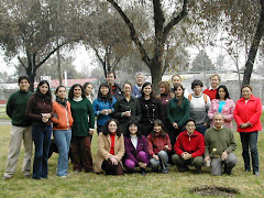 Diplomado HACCP 2007