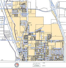 Map of Proposed Incorporation Area