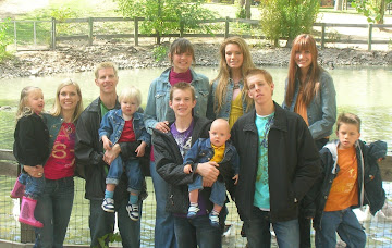 Crowes 2010