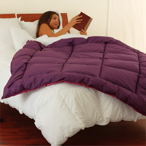 édredon définition