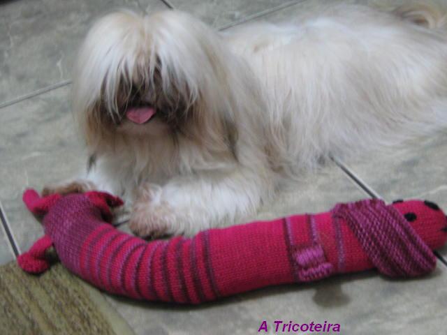 [cachorro+e+felicia+1.JPG]