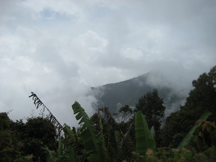 We're in the clouds!