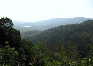 View over Kathu area, Phuket