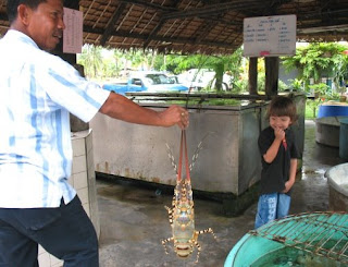 We did not eat this huge lobster...