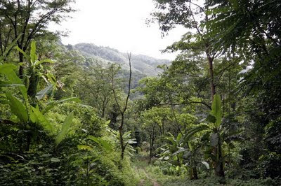 Path and view on the way up