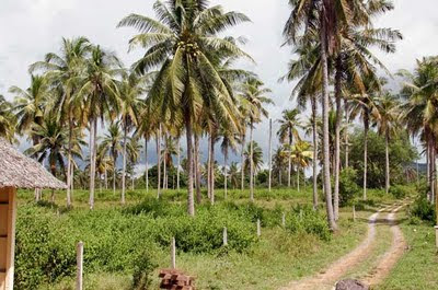 Land behind Seaside Cottages