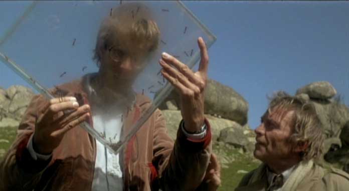 giulianocinema Dove sognano le formiche verdi ( III )