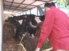 Sakori ashram