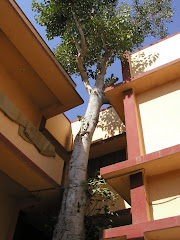 Sakori ashram