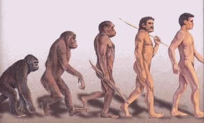 [evolution_homme.JPG]