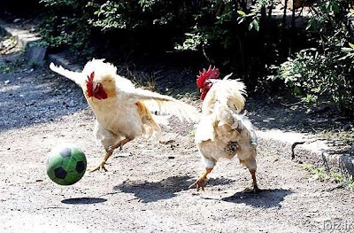 chicken%20ball.jpg