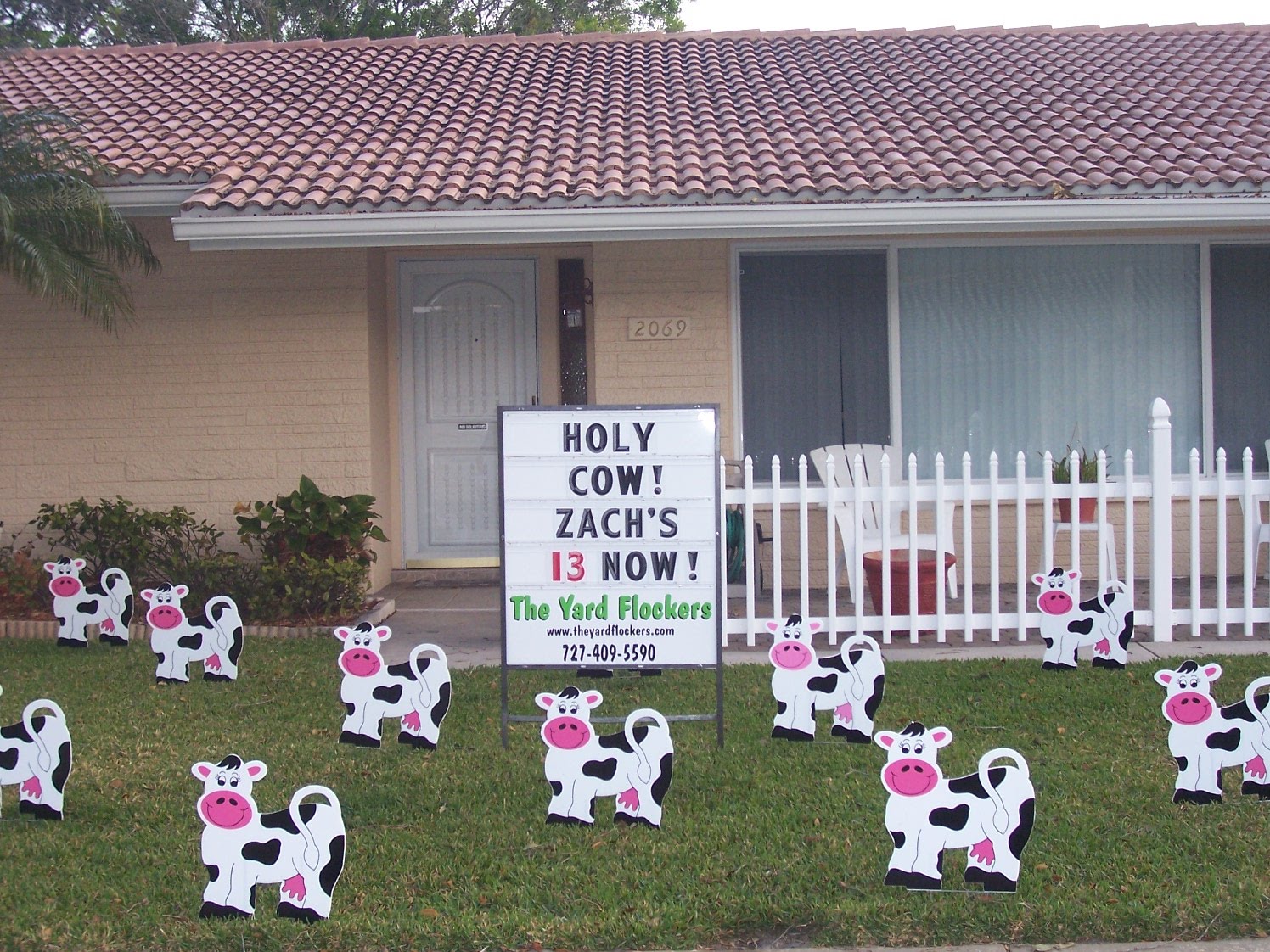 *THE YARD FLOCKERS* Pinellas County, Fla 7274095590 WWW