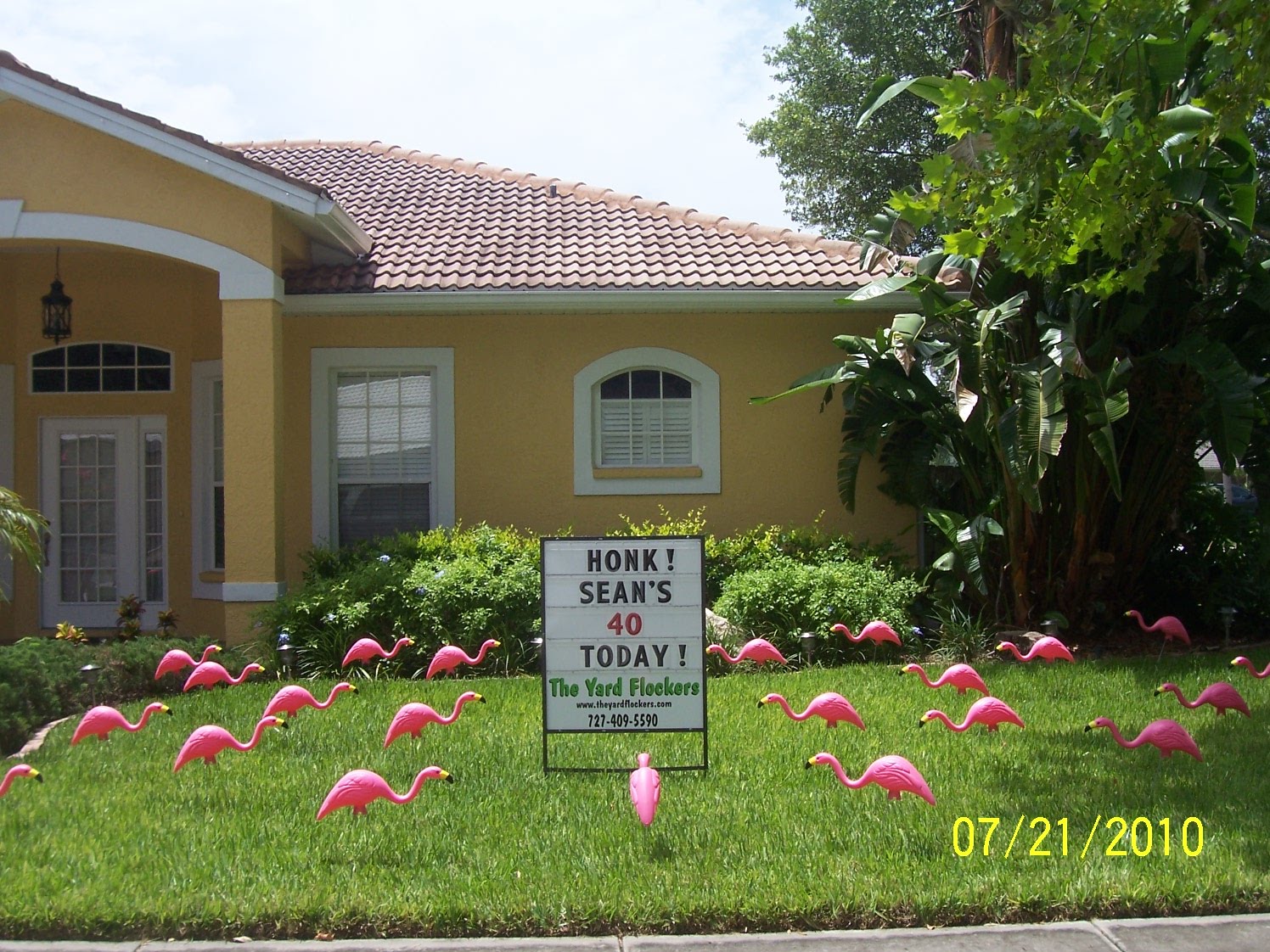 *THE YARD FLOCKERS* Pinellas County, Fla 7274095590 WWW