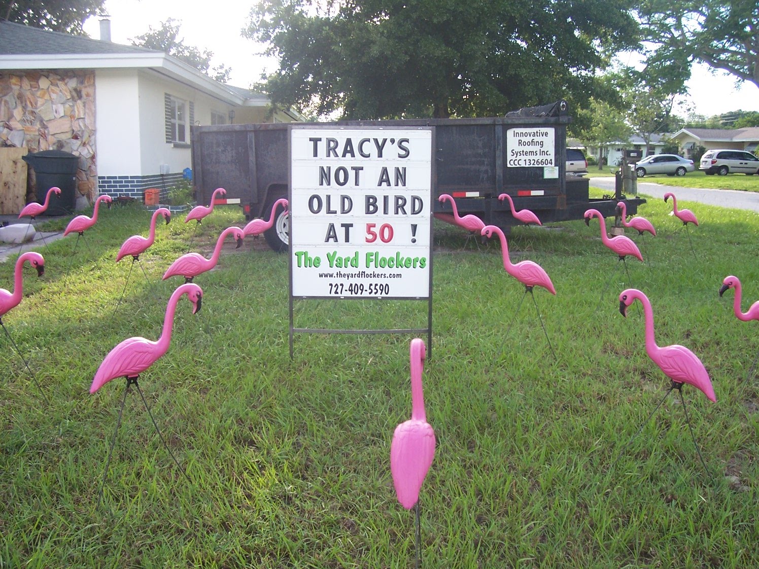 *THE YARD FLOCKERS* Pinellas County, Fla 7274095590 WWW