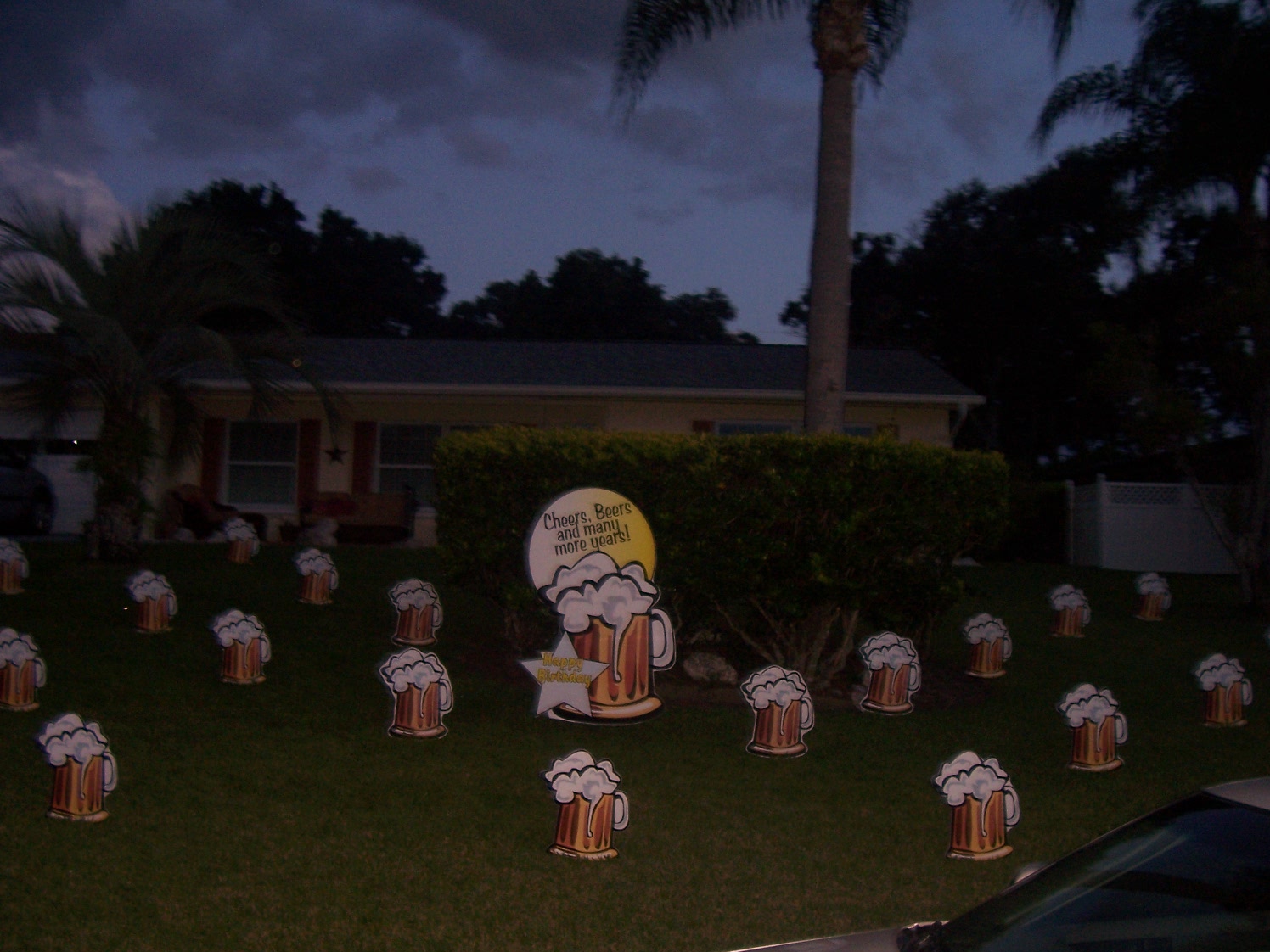 *THE YARD FLOCKERS* Pinellas County, Fla 7274095590 WWW
