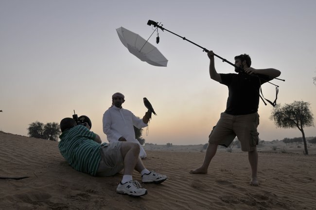 [Hobby+falcon+1.jpg]