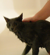 Arya Getting a Bath