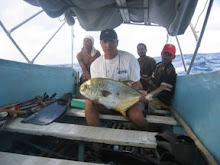 Petite carangue citron