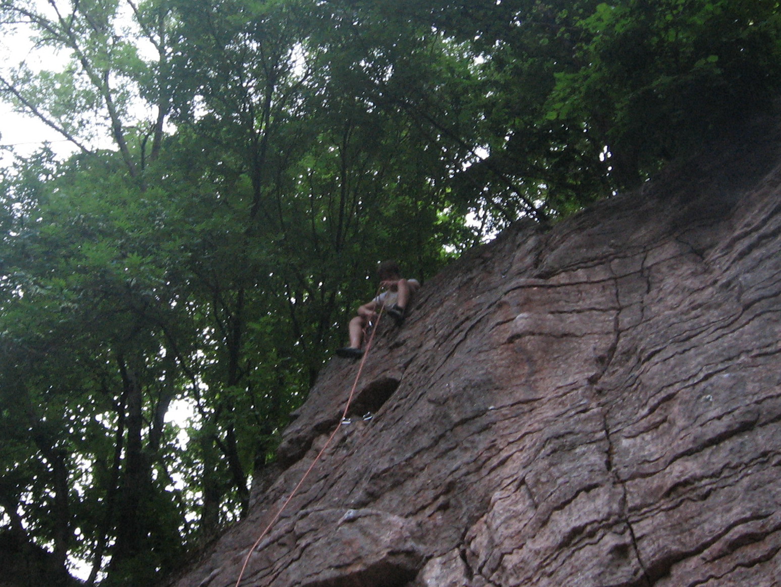 [IMG_2430_kicsi.jpg]