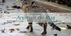 Animais de  Rua