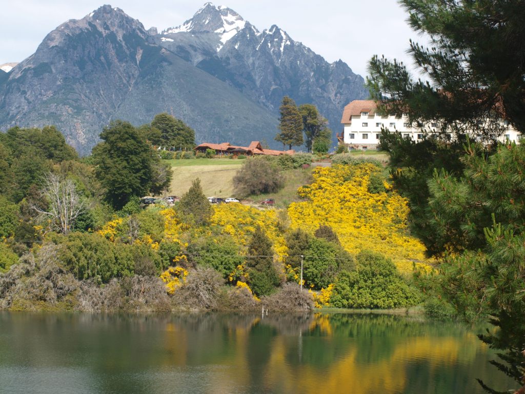 Jóvenes investigadores Argentinos estudian a campo y en laboratorio las diferentes propiedades de las plantas nativas e implantadas de la Patagonia